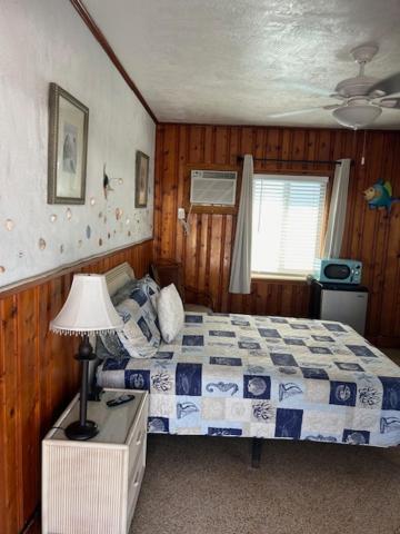 Seahorse Inn نيو سميرنا بيتش المظهر الخارجي الصورة