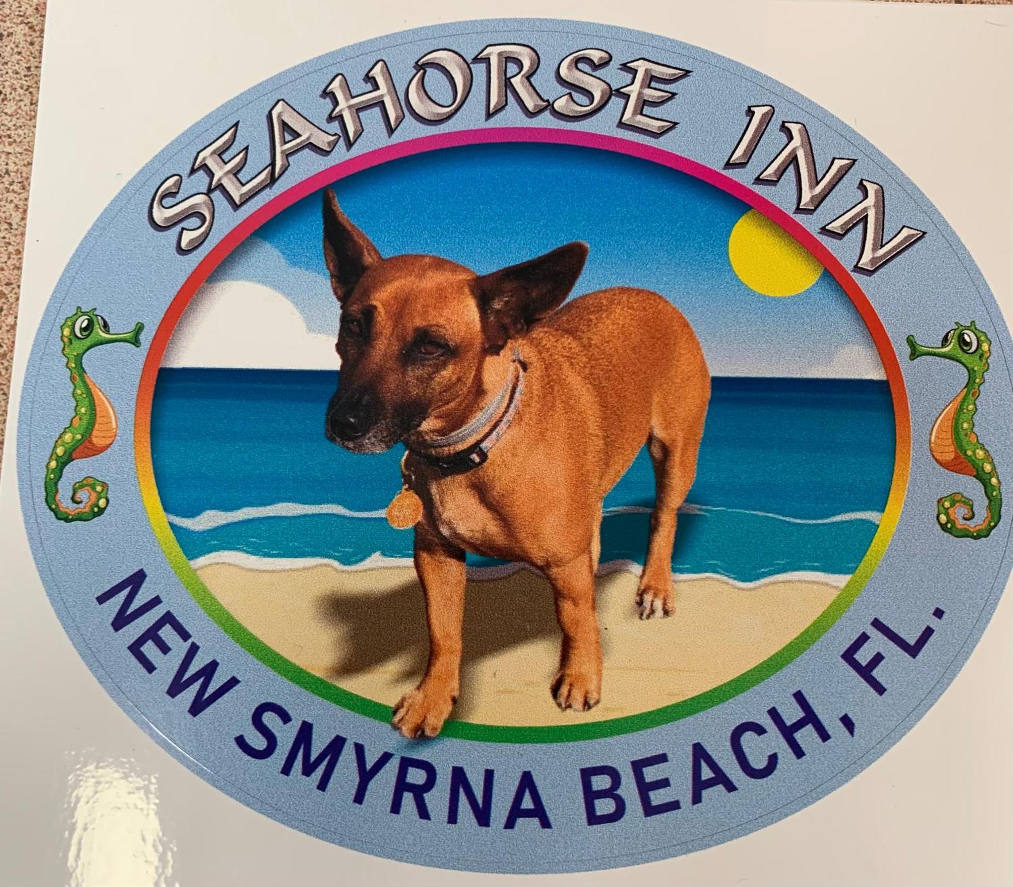 Seahorse Inn نيو سميرنا بيتش المظهر الخارجي الصورة